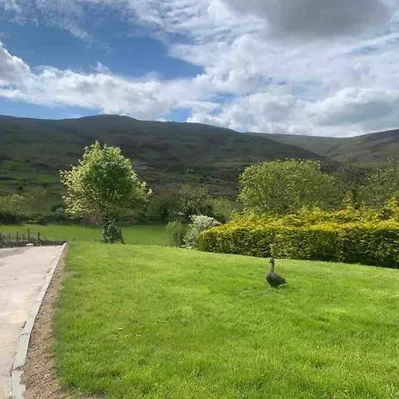Mountain House Omeath Near Carlingford O Meith