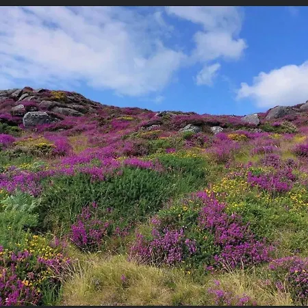Mountain House Omeath Near Carlingford בית נופש