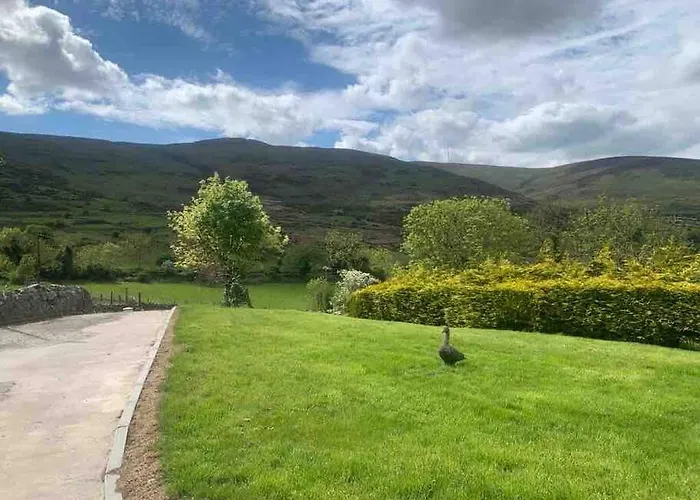 Mountain House Omeath Near Carlingford O Meith